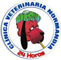 Urgencias Veterinarias 24 horas
